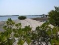 /album/galerie-de-photos/ile-saloum-jpg/